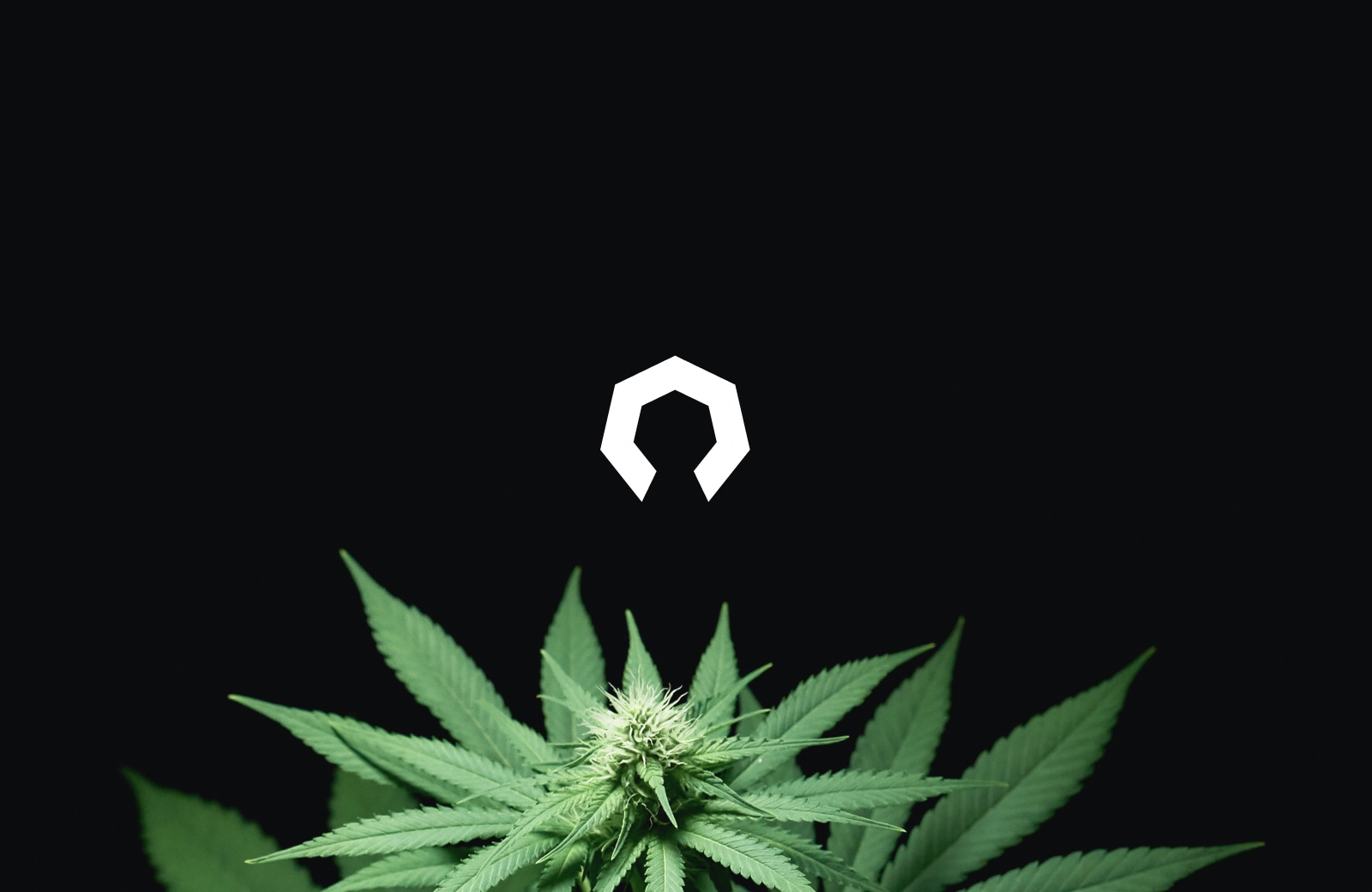 Headset weed thumbnail landscape